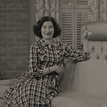 Agatha Harkness Gallery Marvel Cinematic Universe Wiki Fandom