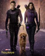 Hawkeye Promotional Poster