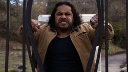 Francis-Noche-Strength-Gate.jpg