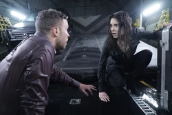 Фитц и  телепортировались на 