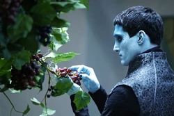 Касиус представляется 