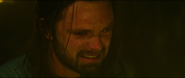 Bucky crying