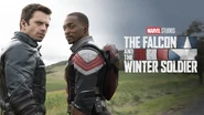 The Falcon and The Winter Soldier D+ Cover Card (Temporary 2).jpg (719 KB)