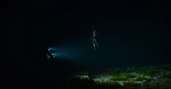 NamorGreetsShuriInTalokan