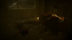 Killed civilians are witnessed by the 