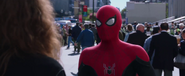 Spider-Man (Far From Home)