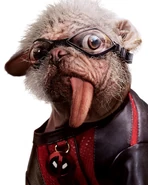 Dogpool's Suit, featured in Deadpool & Wolverine