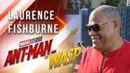 Laurence Fishburne at Marvel Studios' Ant-Man and The Wasp Premiere