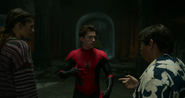 Spider-Man, Michelle Jones & Ned Leeds