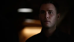 Фитц наблюдает за прибытием 