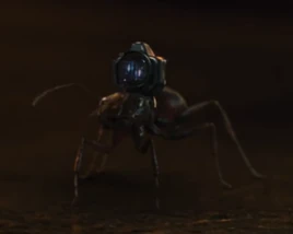 Ant-Cam
