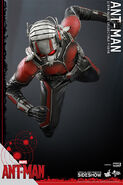 Ant-Man Hot Toys 5