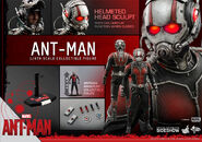 Ant-Man Hot Toys 17