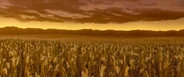 Field of Reeds.png (1.91 MB)