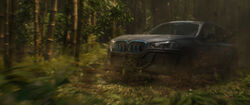 BMW in bamboo forest