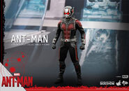 Ant-Man Hot Toys 8