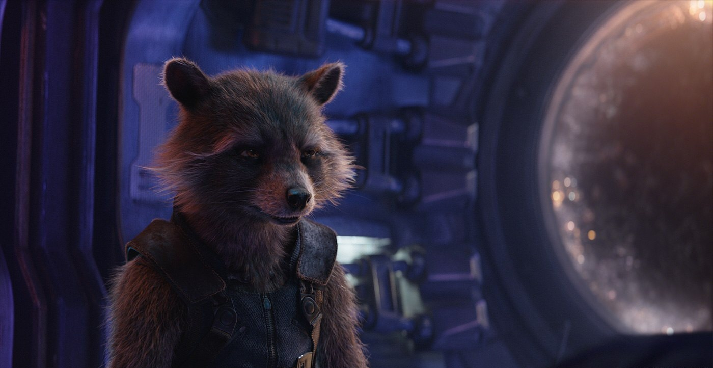 Rocket Raccoon Quote Marvel Cinematic Universe Wiki Fandom