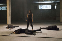 Elektra begins sparring with  soldiers