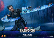 Mandarin Hot Toys11