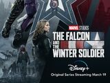 The Falcon and The Winter Soldier/Season One