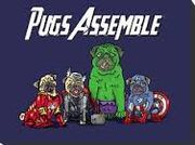 Avenger Pugs