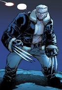 Old Man Logan