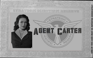 Agent Carter