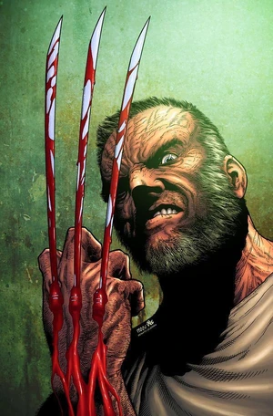 Logan aka Wolverine
