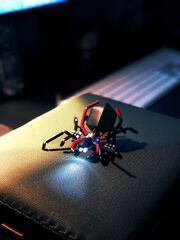 Spider-Drone