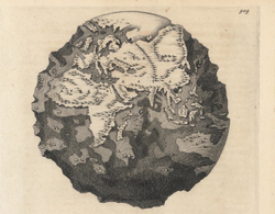 Earth-891