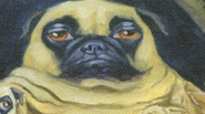 Blob Pug