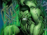 Bruce Banner (Earth-6160)