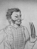 Wolverine