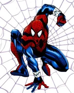 Spider 54321