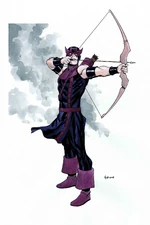 Hawkeye 84216