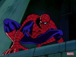 Spider-Man cartoon