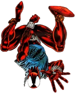 Scarlet Spider Disambiguation