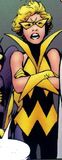 Yellow / Golden and Black Costume