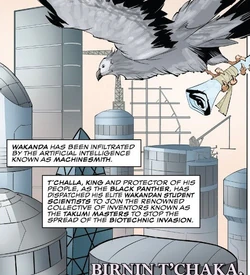 Birnin T'Chaka (Earth-3116)