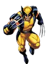 Wolverine