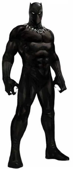 Black Panther Disambiguation