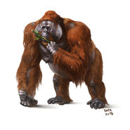 Gigantopithecus