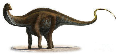 Apatosaurus