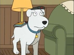 Brian Griffin / Mother ia コムデギャルソン Brian finds his Mother - YouTube