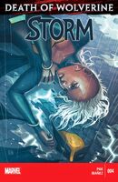 Storm Vol 3 4