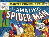 Amazing Spider-Man Vol 1 173