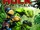 Hulk: Broken Worlds TPB Vol 1 1