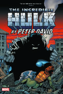 Incredible Hulk by Peter David Omnibus