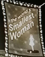 The World's Smallest Woman Shattered Dimensions (Noir) (Earth-TRN581)