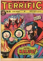 Terrific! #36